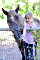 Majic Stables Camp July 18 - 22, 2016