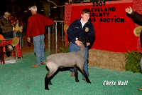 2007 Jr.Livestock Show